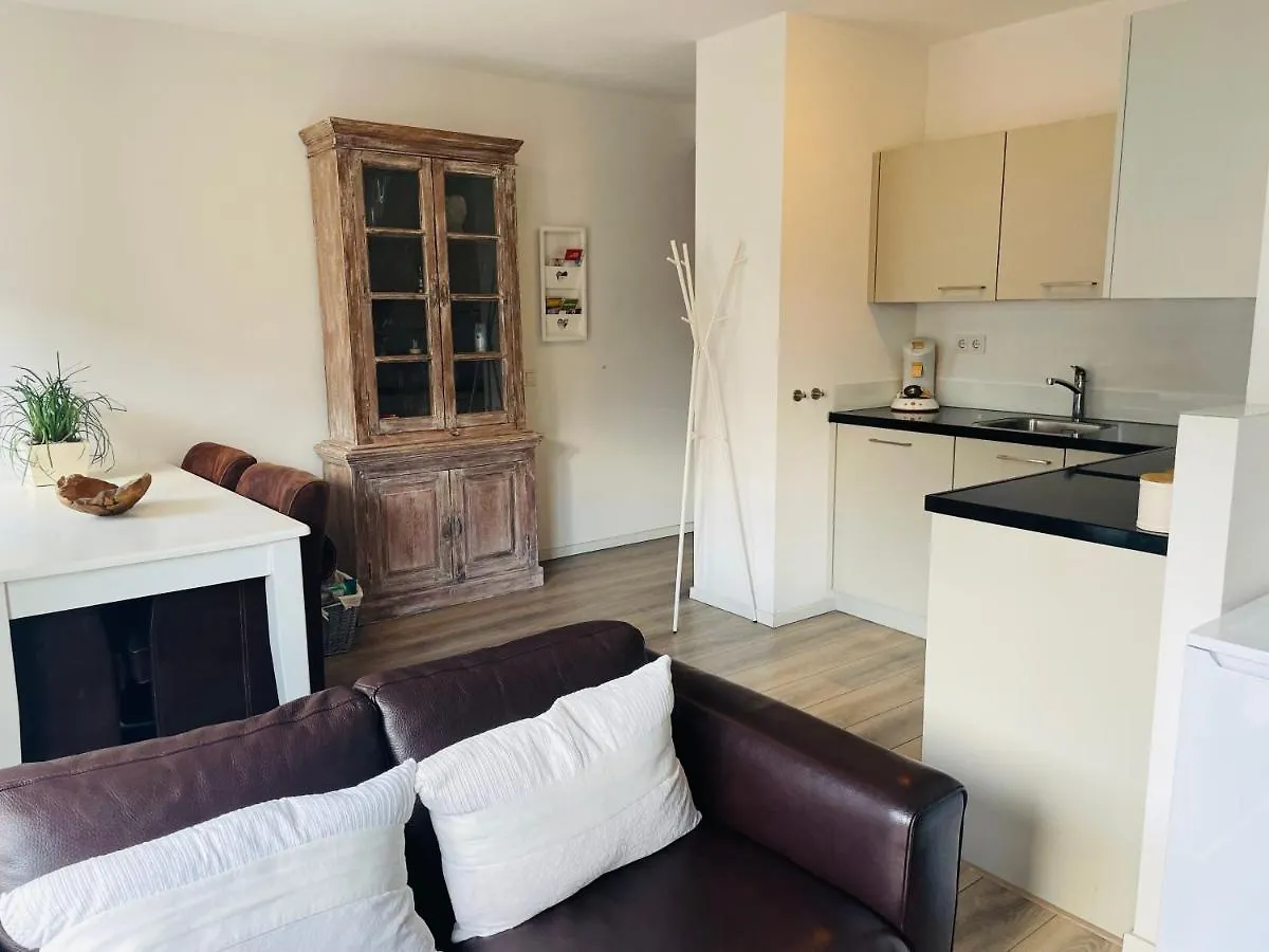 Luxe Appartement Gelegen In Wyck C01 Maastricht Apartment